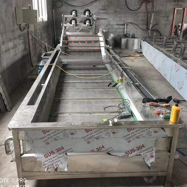 Multi-function Fruit Cleaning Machine Carrot Washer 