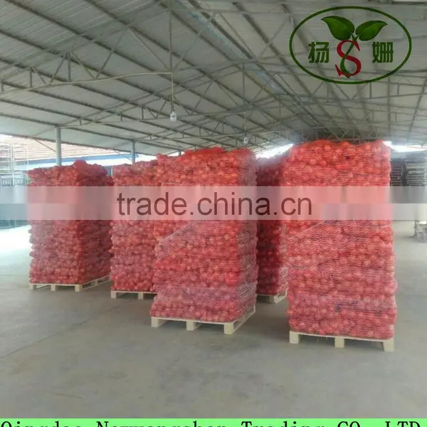 Export Fresh Onion Spcification 7-9cm In Wholesale Price photo-6