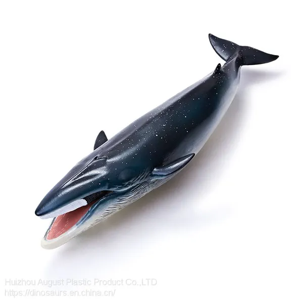 Non-Toxic Educational Factory Price PVC Animal Dinosaur Toys Balaenoptera Physalus Dino Simulation Dinosaur World photo-3