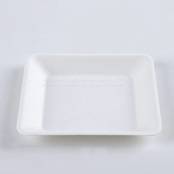 Disposable Biodegradable 6 INCH Square Plate Take Away Sugarcane photo-2