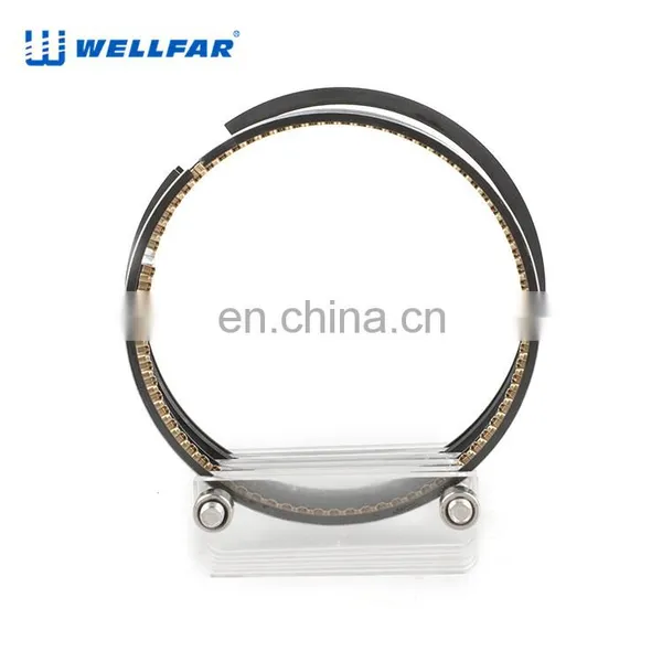 2M4862 Wellfar GMC Vortec 4300 Engine Piston Rings For Chevrolet Suburban Savana Sonomasilverado 1500,2500 Car Engines photo-4