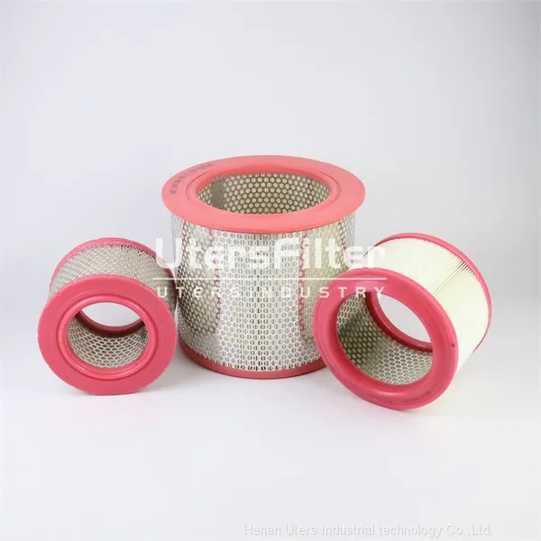 C1213 UTERS Replace Of Mann Air Filter element photo-3
