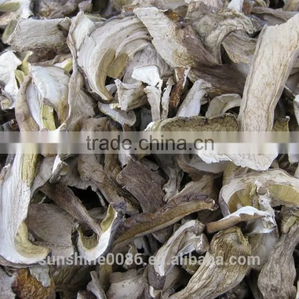 Hot Sale! Dry Boletus/bolete Edulis Mushrooms From Chinese photo-4