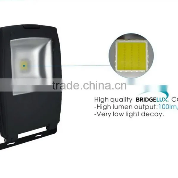 New Design IP65 Meanwell Driver Bridgelux LED Flood Light COB Outdoor 30W 50W LED Flood Light photo-2