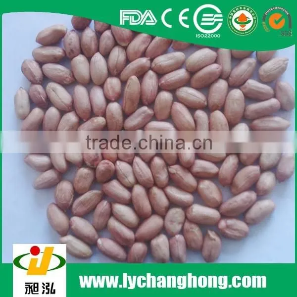Raw Peanut Kernel Size 24/28,34/38,peanut Price photo-2