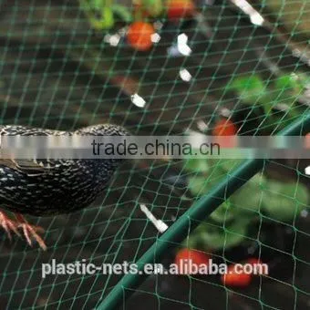 Hdpe Anti Bird Mesh,anti-bird Crop Protection Netting photo-1