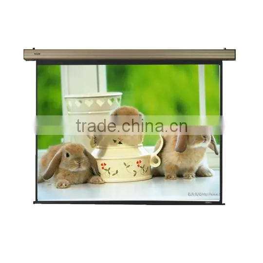 Glass Fiber Gray/white Screen Tab Tensioned Electric Projection Screen photo-4