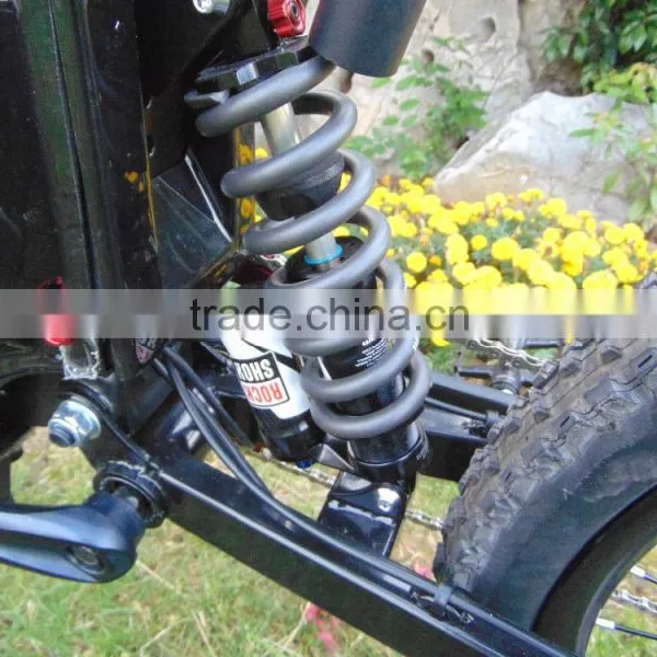 Chinese Manufacture Sale OEM Bikes Electric Bike / Land Rover Bike photo-2