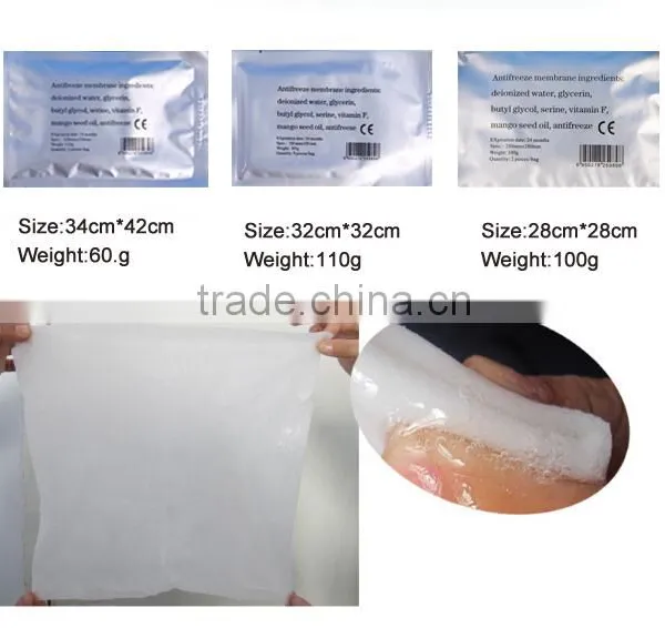 Professional Anti Cellulite Device Crtotherapy Machine Lipo Freeze Cryo Antifreeze Membrane photo-5