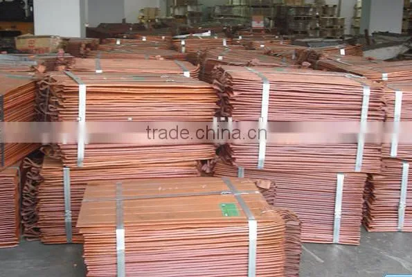High Quality Copper Cathode Hot Sale (B62)