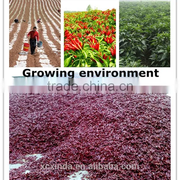 Dried Red Chili Flake,2015 New Chily Flakes Products photo-2