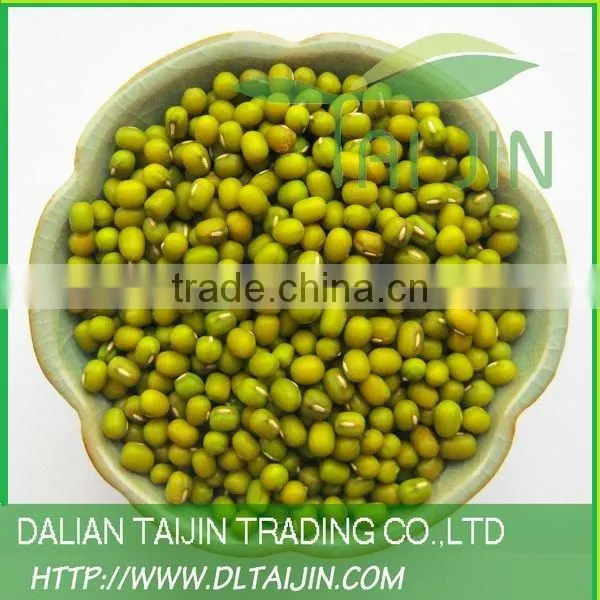 GREEN MUNG BEAN High Quality for Sprout, Small Size 3.0mm--3.4mm