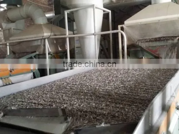 Chinese High Quality Healthy Low Price Sunflower Seeds From Supplier or Manufacturer photo-3