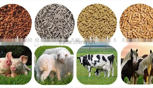Livestock Flat Feed Pellet Machine photo-6