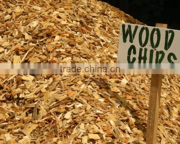 ACACIA, EUCALYPTUS WOOD CHIP FOR PAYPER AND PULP FROM VIET NAM photo-5