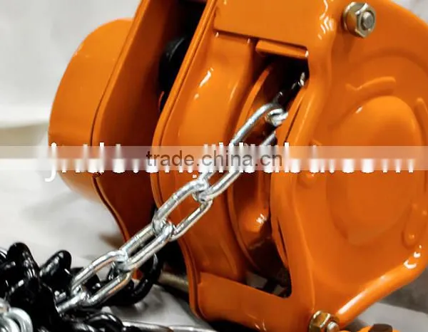 Suppliers Manual Chain Hoist 100kg Chain Hoist photo-2