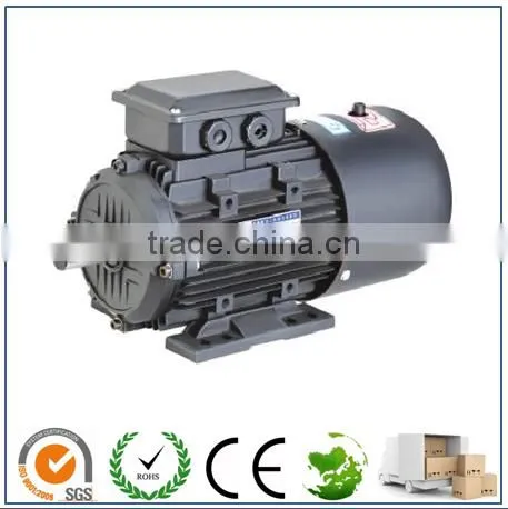 YEJ2 Series Electromagnetic Brake Motors