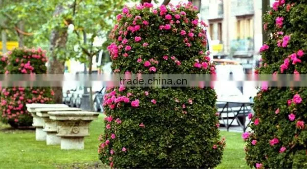 SOL 2015 New Design Big Flower Tower Vertical Green Planter Large Plastic Planters photo-5