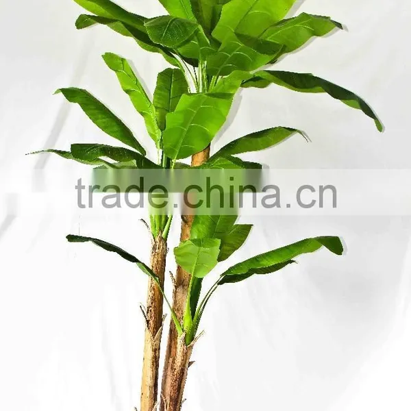 Wholesale Indoor Use Bonsai photo-6
