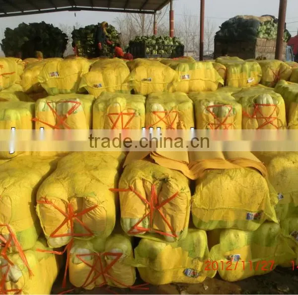 Onion PP Leno Mesh Bags, Plastic Bags for Vegetables photo-3