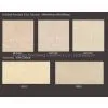 Sell Porcelain Tile(BE02), Travertine , Size 600x600 800x800mm, Nano Finished, Grade AAA Quality,reasonable Price photo-2