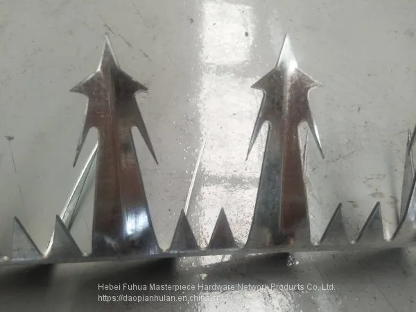 Anti Climb Wall Spike Used in Garden Fence photo-3