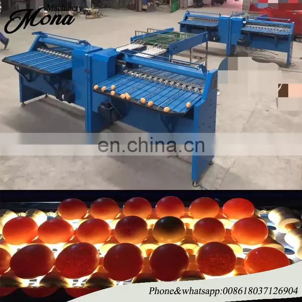 Popular Selling Industrial Egg Processing Machine Electronic Egg Grader photo-4
