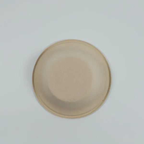 Disposable Biodegradable Bowl photo-4