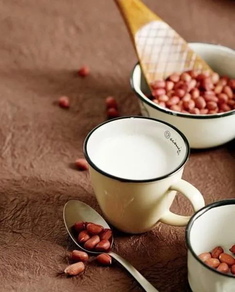 Nut Milk Production Line for Industrial Dairy Factory photo-3