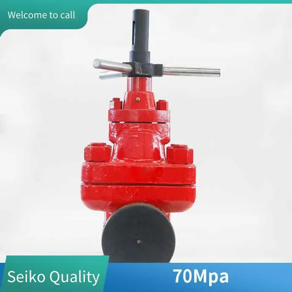Soft-sealed Mud Gate Valve Z23x-350 Dn65, Special Valve for Oil Fields, Imported Valve, Water Injection Valve photo-2