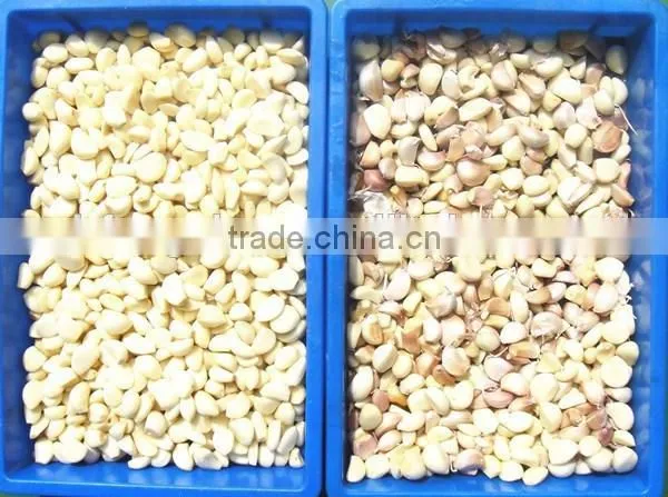 Multifunction Color Sorter photo-4
