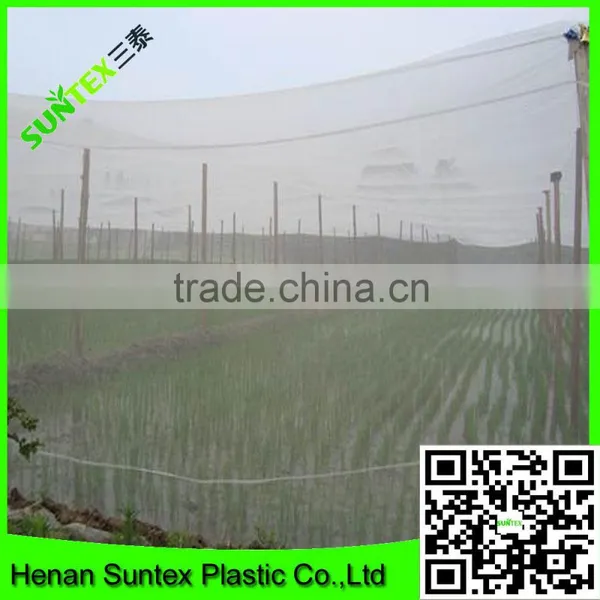 China Factory Produced 100% Vigrin Plastic Window Netting/ Pest Control Net photo-4