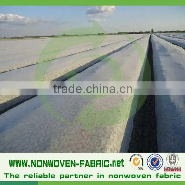 Low Price Spunbonded Nonwoven Fabric for Agricultural Cover photo-5