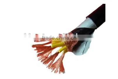 Shielded Armored Cable for Industrial Mining Construction Control Cable photo-2