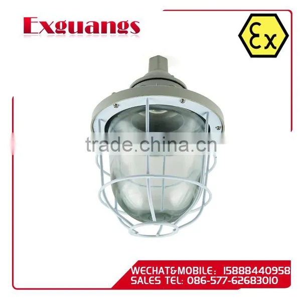 BAD51 Series Explosion Proof Lights/LED Light(IIC IIB DIP IP65)