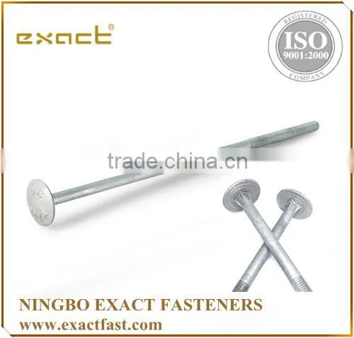 Manufacturer Supply Carbon Steel A307 Standard Grade 2 Hot Dipped Galvanized Timber Bolt/round Head Mushroom Bolt photo-5