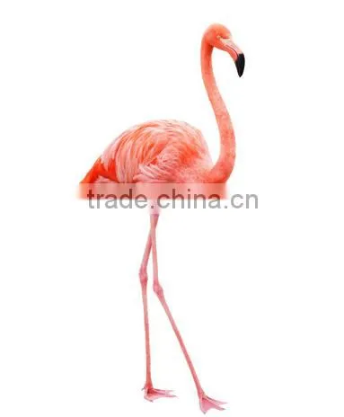 Hot Sell Living Room Pink Flamingo Animal Stretched Canvas Printing photo-4