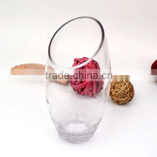 Unique Hand Blown Decorative Cylinder Clear Oval Shaped Glass Bud Vases photo-2
