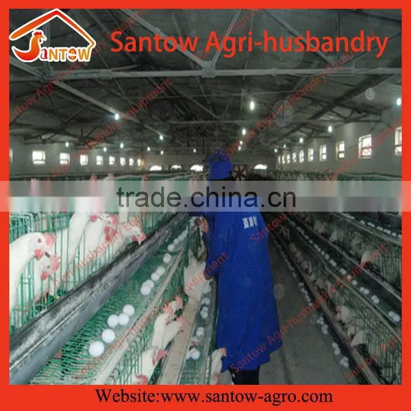 Automatic Chicken Egg Layer Cages Poultry Battery Cage System for Nigeria Farm photo-5