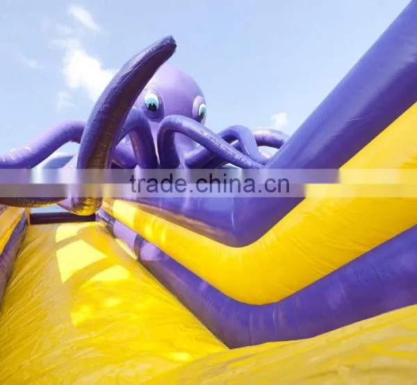 Inflatable Large Slide Commercial Quality Inflatable Slides Selling photo-5
