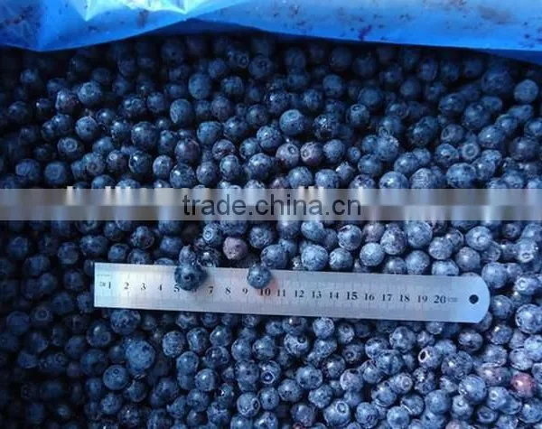 Frozen Blueberry Fruit--iqf Blueberries Wild Fresh Blueberries Wholesale photo-3