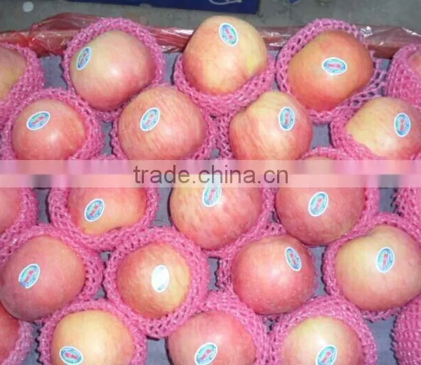 Red Mature Apple photo-2