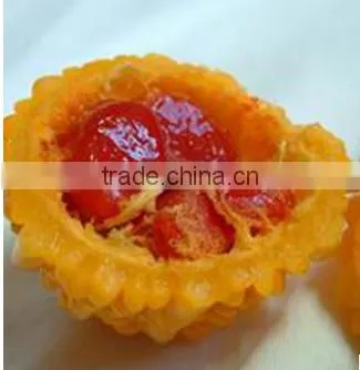 Fruit Type Bitter Melon Seeds Bitter Gourd Seeds for Growing photo-3