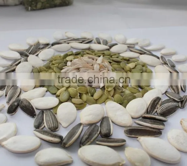 High Quality Grade A Pumpkin Seeds photo-2
