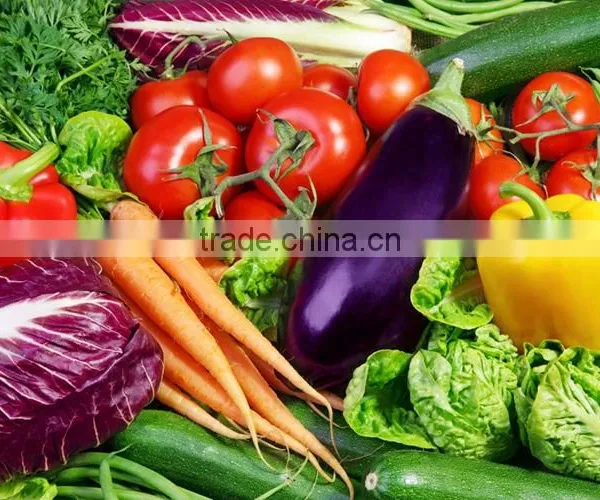 Industrial Automatic Vegetable Washing Machine With Ozone Sterilization Function photo-6