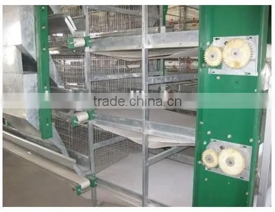 Best Selling Quail Cage For Sale in Quail Farm photo-6