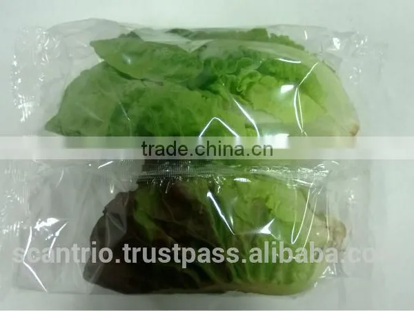 Automatic Fresh Vegetable, Whole Salad Packing Machine. photo-3