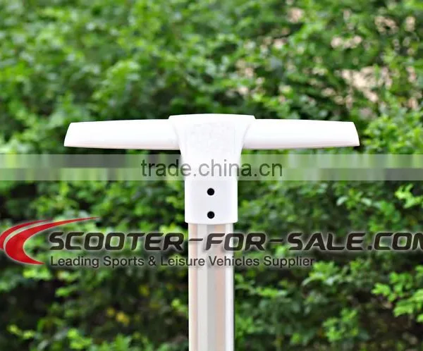 Big Discount 2 Wheel Electric Standing Scooter / Mobility Scooter / Electric Chariot photo-5