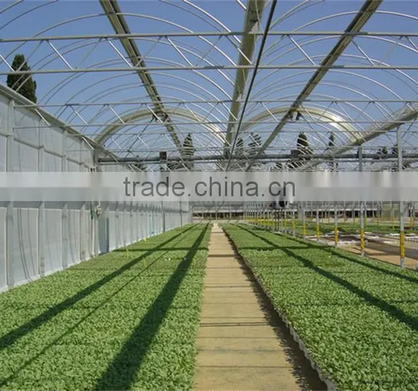 Factory Price Plastic Covered Commercial Greenhouses photo-4