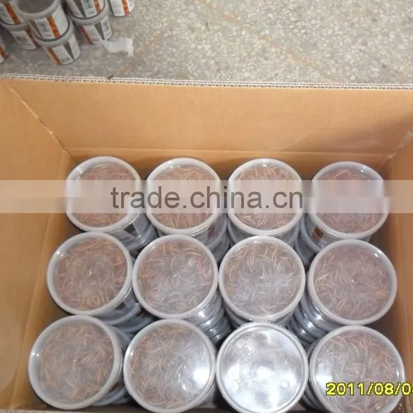 100% Natural Aquarium Fish Food Mealworms(2.8cm) photo-3